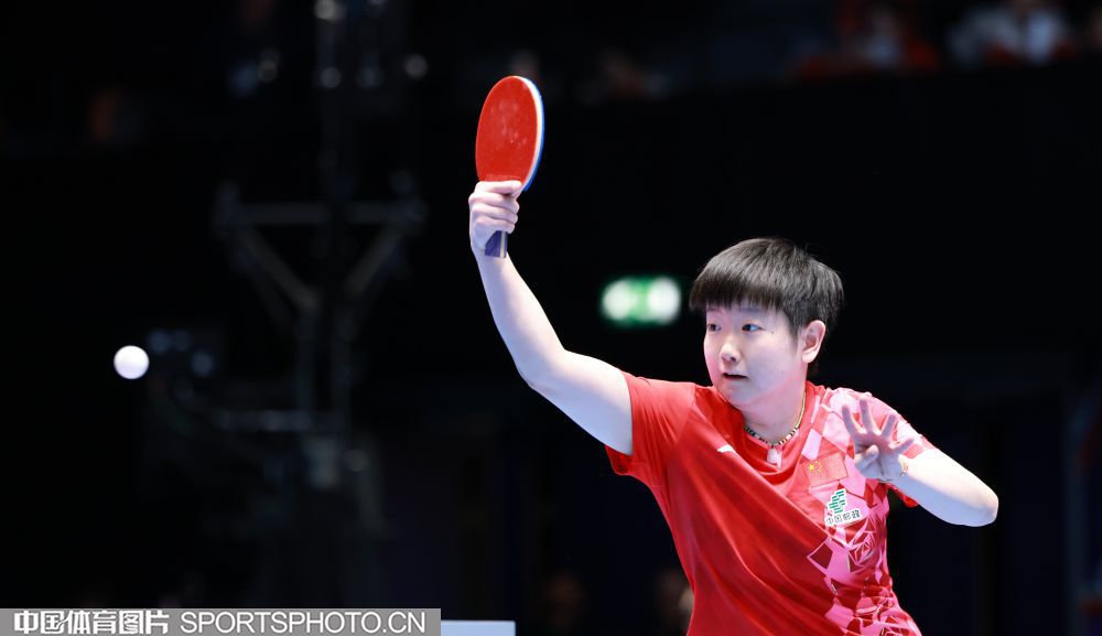 W_39168390_26050621_by.jpg