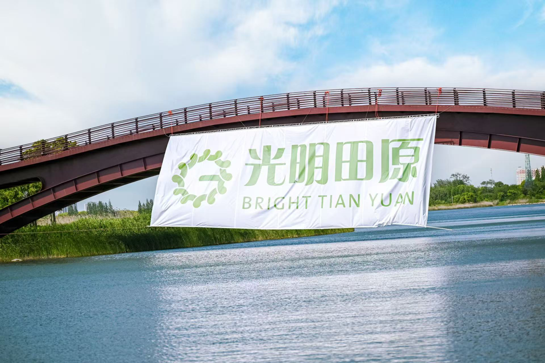 图片15.png
